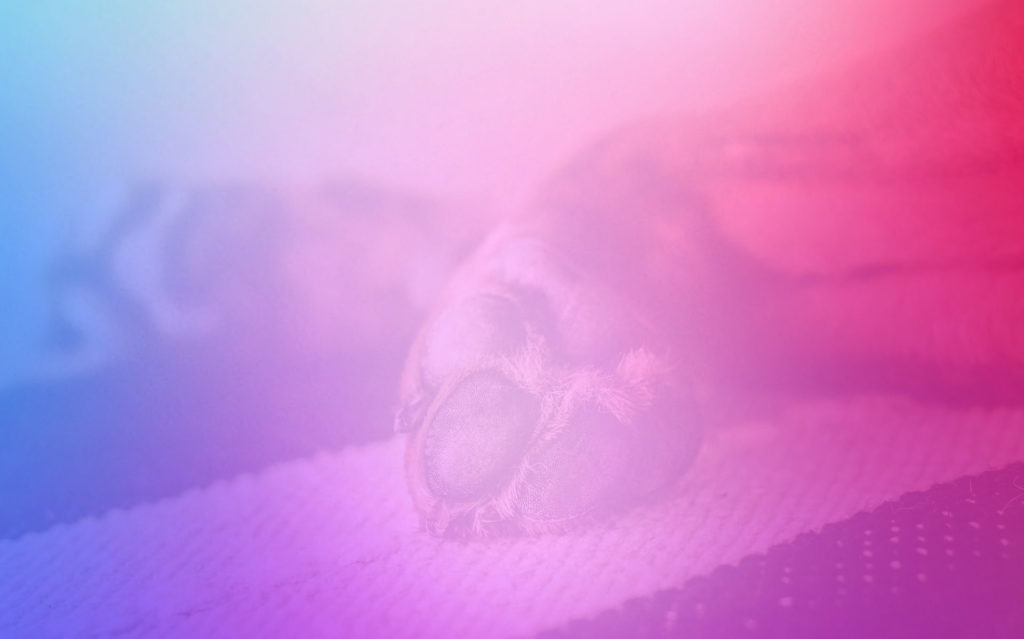 DensiaPhysio