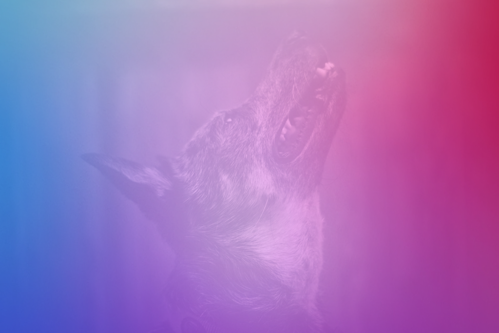 DensiaPsyhio - Dornova metoda pro psy
