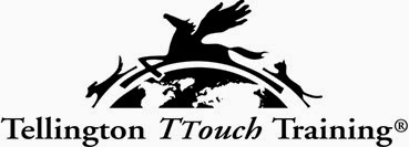 ttouch logo mensi